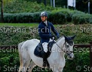 Cancogni Berlin's Pride GioCav2013 S5 1042 : Berlin's Pride, Campionati Italiani Giovani Cavalli, Cancogni Daniele, Cattolica, ph Stefano Secchi ©